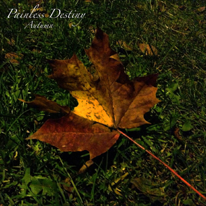 把腿张开臊烂你双性np调教视频
